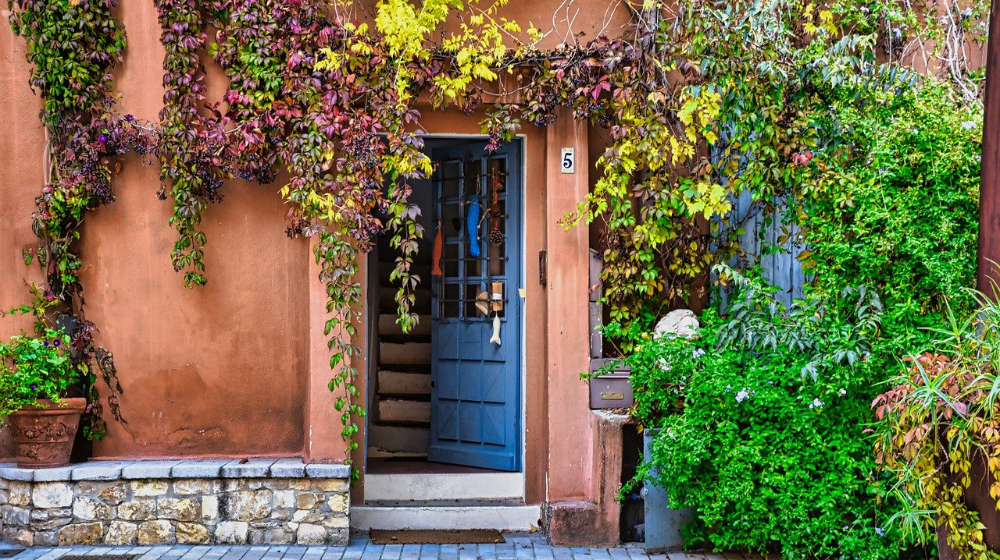 Door and nature 1000.jpg