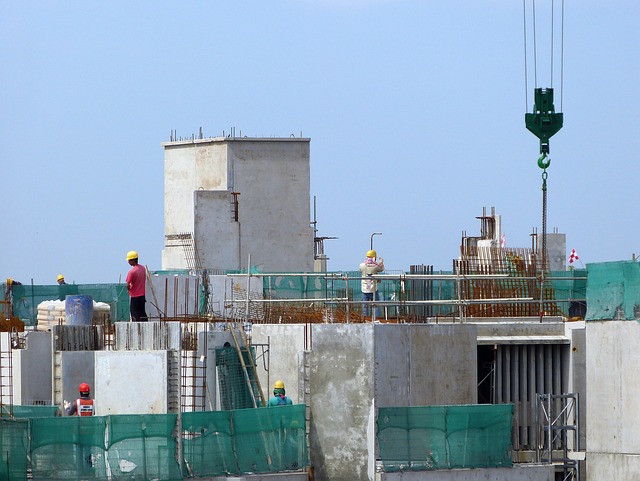 Debris netting.jpg