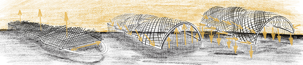 Gridshell Sketches sml and thin crop.jpeg