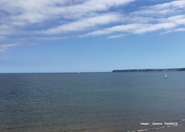 Sea Joanna Theobald-sea.jpg