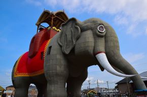 LucyElephantNew290.jpg