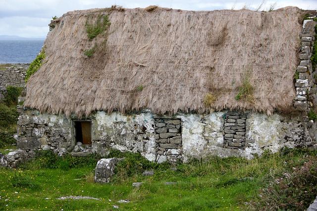Thatched-roof-981891 640.jpg