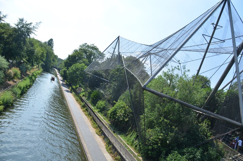 Snowdon Aviary (c) Daniel SprawsonZSL (1).JPG