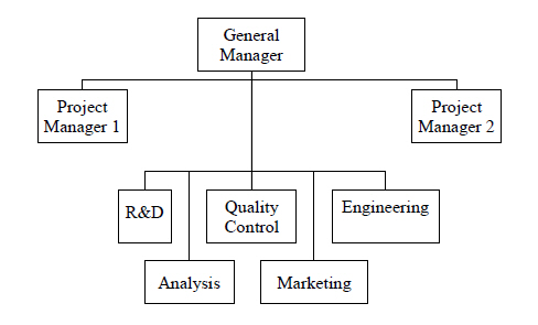 Typical Organizational Chart Of A Company