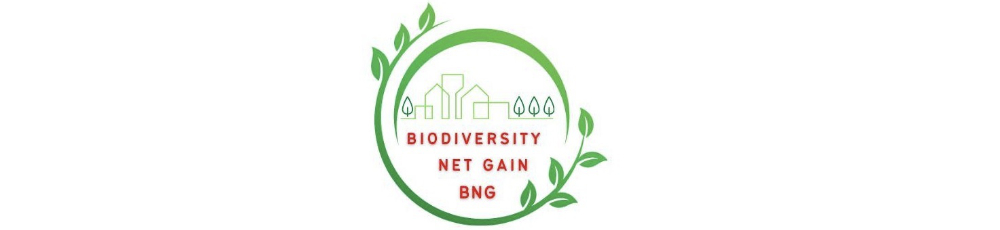 Biodiversity net gain 1000.jpg