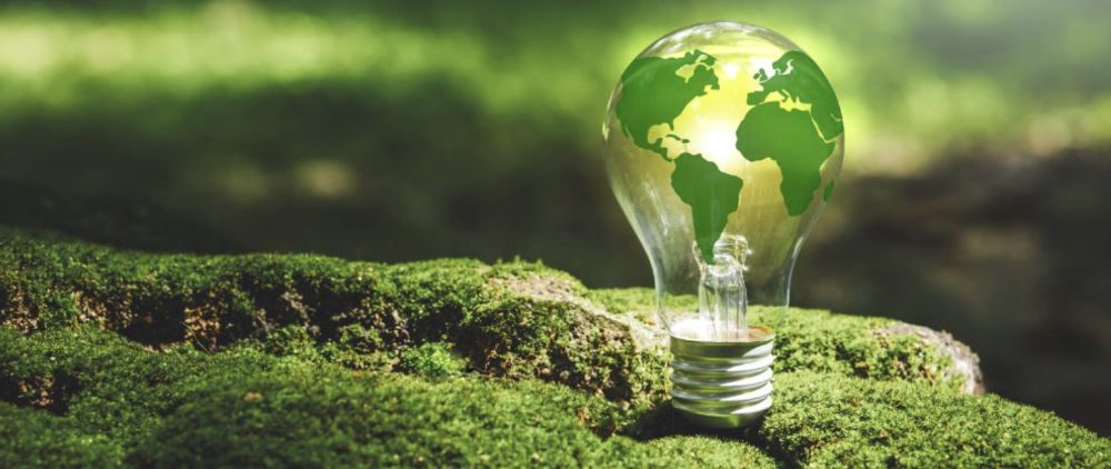 ECA lightbulb globe green 1000.jpg