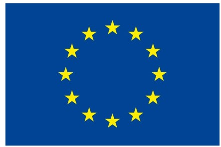 European flag.png