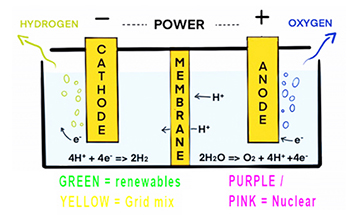 Hydrogen electrolysis 350 2.jpg