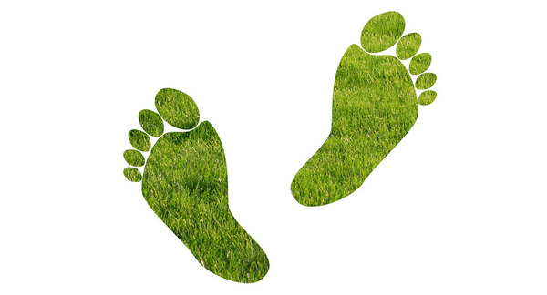 footprint png