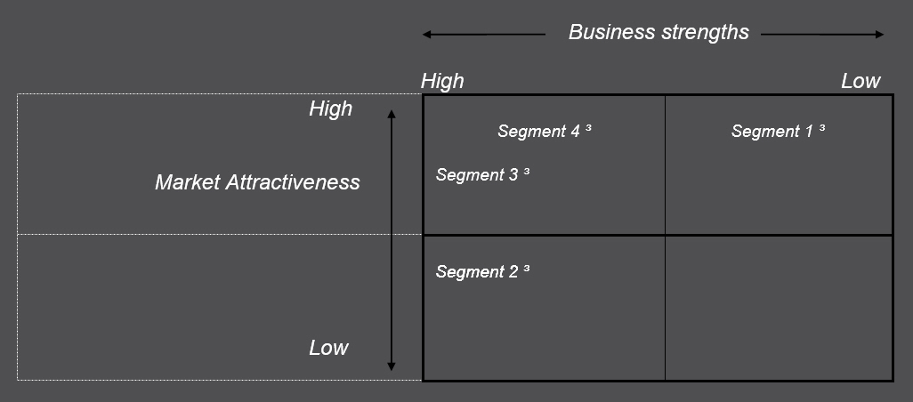 Marketing portfolio matrix.jpg