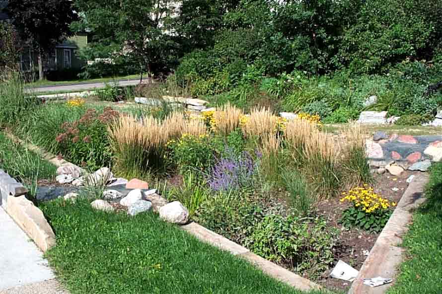 Rain Garden Designing Buildings Wiki