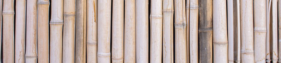 Bamboo-4705912 banner.jpg