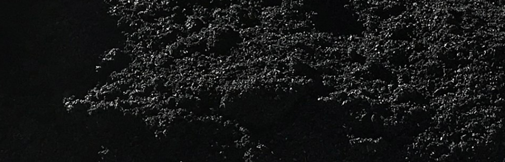 Biochar pile detail 1000.jpg