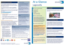 TG08 2015 At a Glance Legionella.jpg