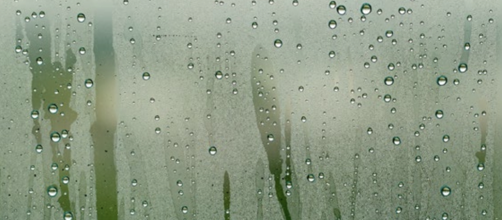 ATJ 152 Humidity resilience in home design 3 Andy Mitchell 21 Degrees 1000.jpg