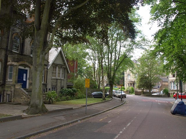 LeafyHighgate.jpg