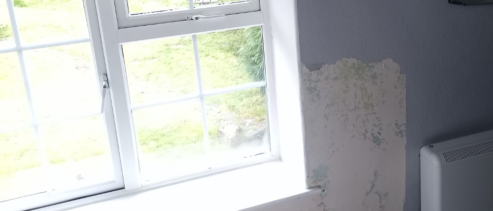 Thermal Lime plaster 1.jpg
