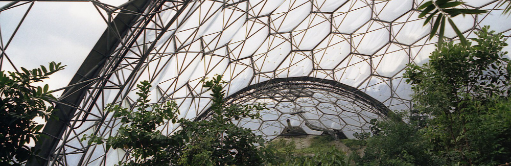 N1 Grimshaw, Eden project, reticolo 100.jpg