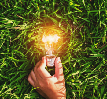 ECA lightbulb-green 350.jpg