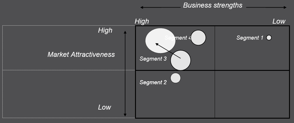 Projected marketing portfolio matrix.jpg