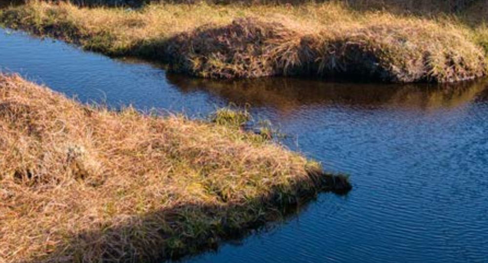 AT J 154 Carbon budget 4 Jack Fleming 1000.jpg