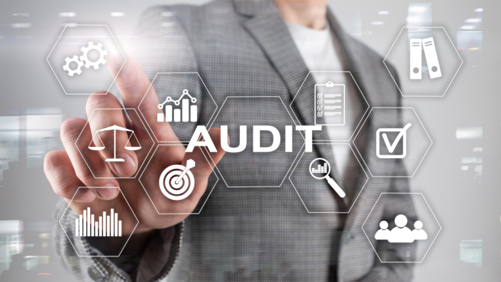 Audit Management Software