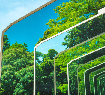 File:CIOB nature iStock-1450420876 350.jpg