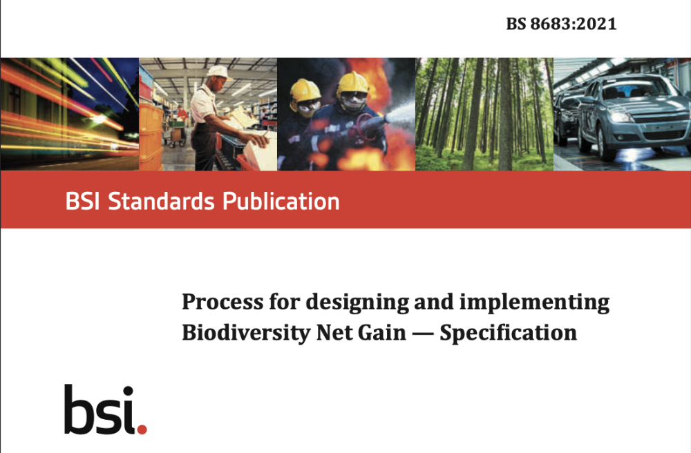 BSI net gain standard banner .jpg
