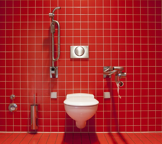 Lavatory Designing Buildings - Lavatory Another Word For Bathroom Floor Plan