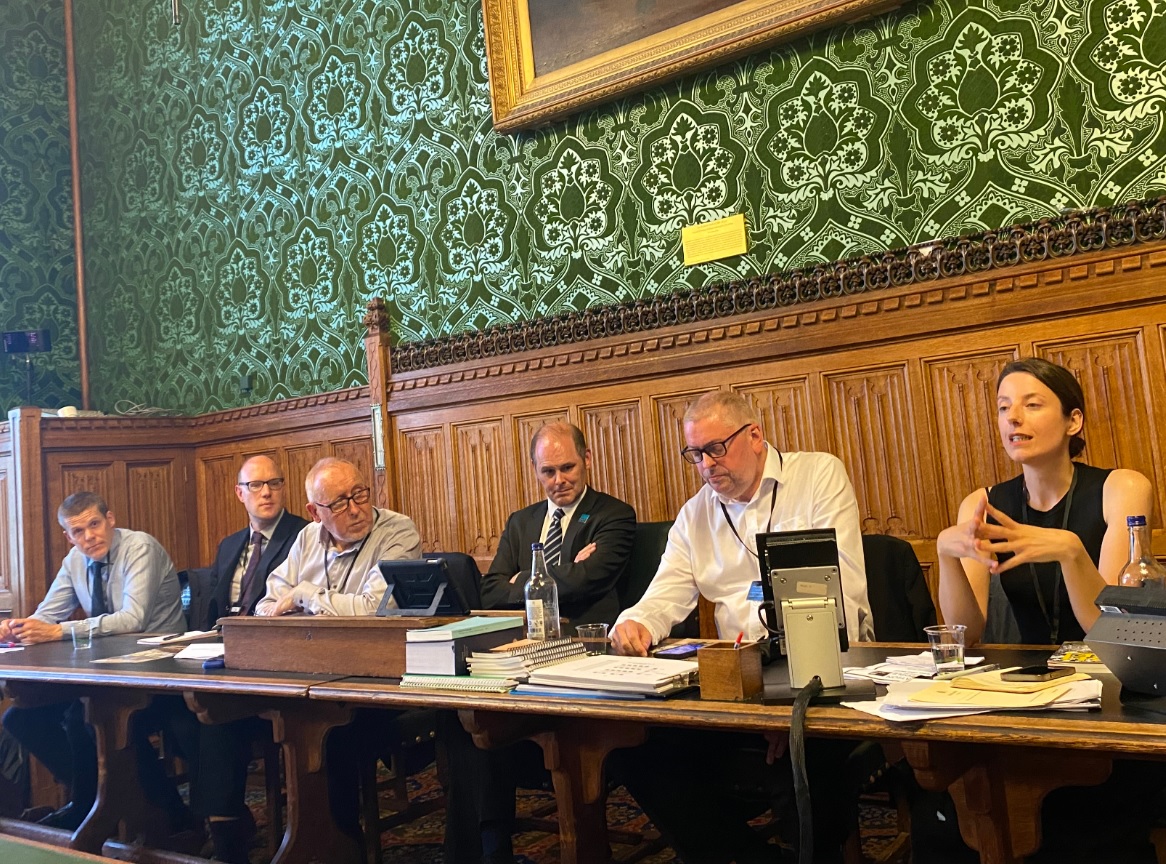 Conservation Places and People Parliamentary APPG.jpg