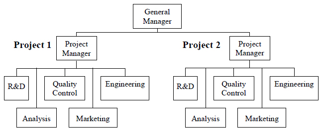 Typical project organisation structure.jpg