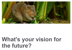 File:E-activist website290917.png