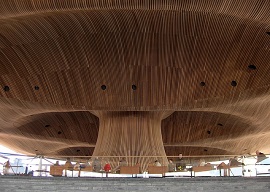 The Senedd270.jpg