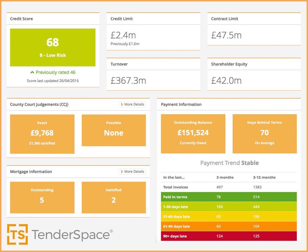 TenderSpace Credit Report.jpg