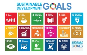 File:Sustainable-goals290.jpg