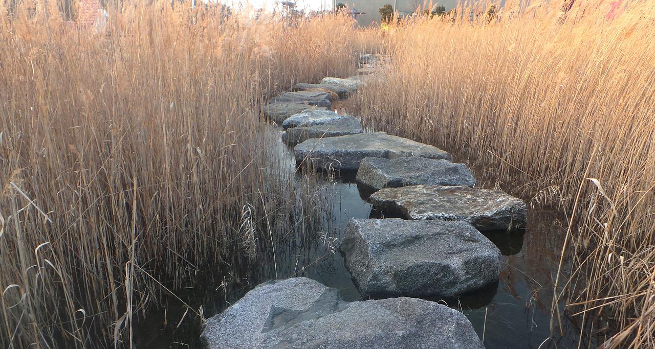 Stepping-stones-1666746 1280.jpg