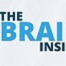 The Brainy Insights