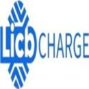 China LiCB EV Charger