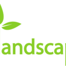 Pro Landscaping Services & Designs