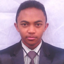 Arny Fabrice Randriamamonjisoa