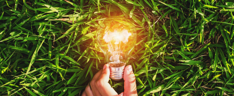 File:ECA lightbulb-green grass 1000.jpg