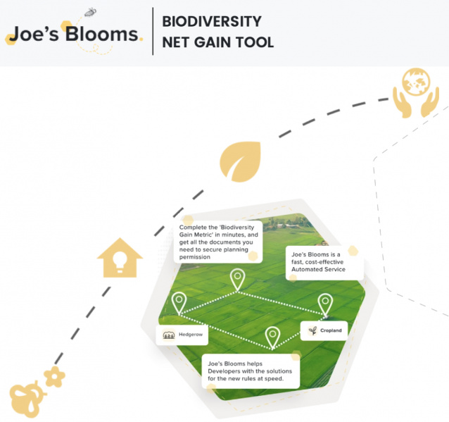 File:Joe Blooms BNG.jpg
