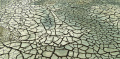 Thumbnail for version as of 04:19, 16 July 2024