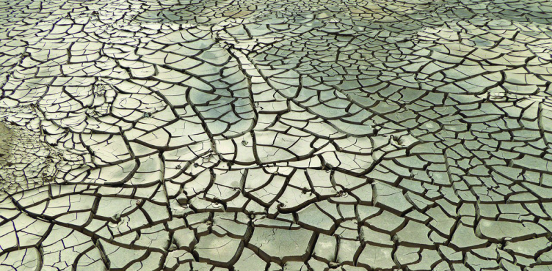 File:Dryn mud veronoi 1000.jpg