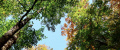 Thumbnail for version as of 17:22, 2 July 2024