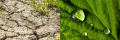 Thumbnail for version as of 20:42, 18 August 2022