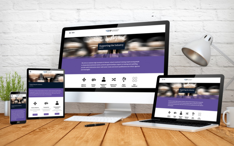 File:TESP website.jpg