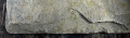 Thumbnail for version as of 09:56, 7 March 2025