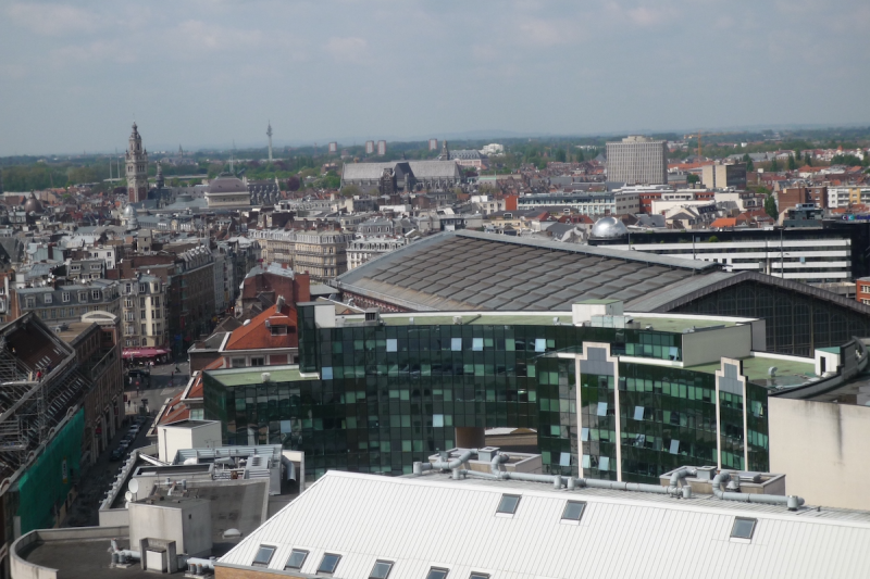 File:Item 23473 Lille Skyline.png