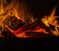 Thumbnail for version as of 16:16, 14 November 2024